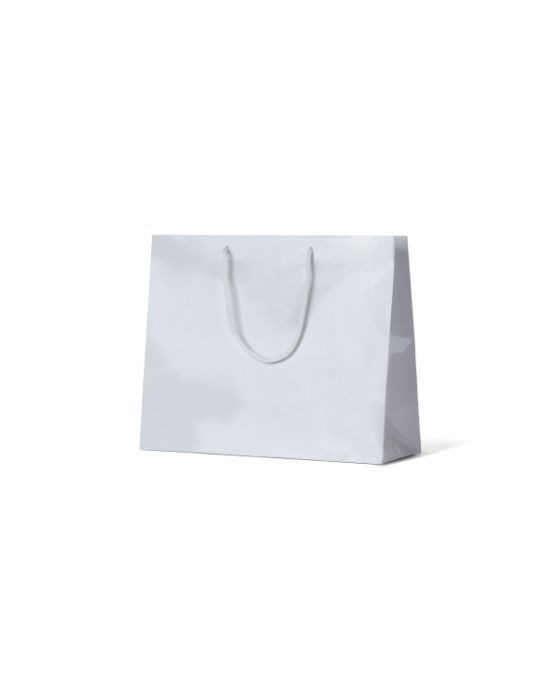 Madison White Gloss Paper Bag 50/Carton