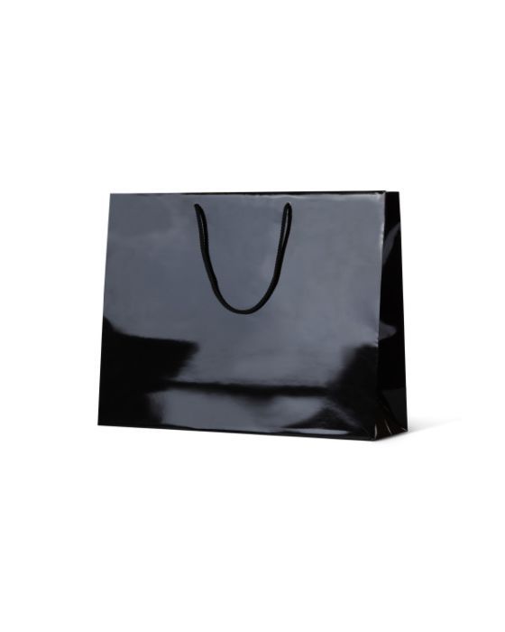 Galleria Black Gloss Paper Bag 50/Carton