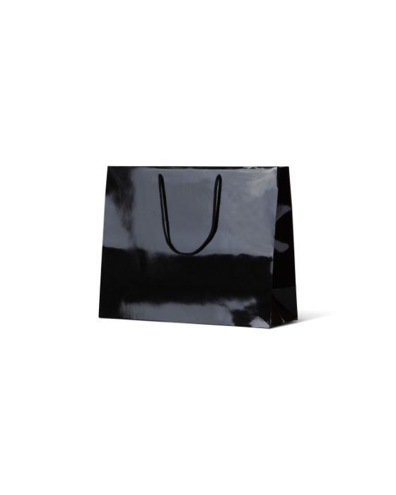 Madison Black Gloss Paper Bag 50/Carton