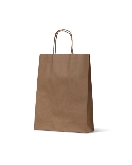 Kraft Paper Bag Small 250/Carton