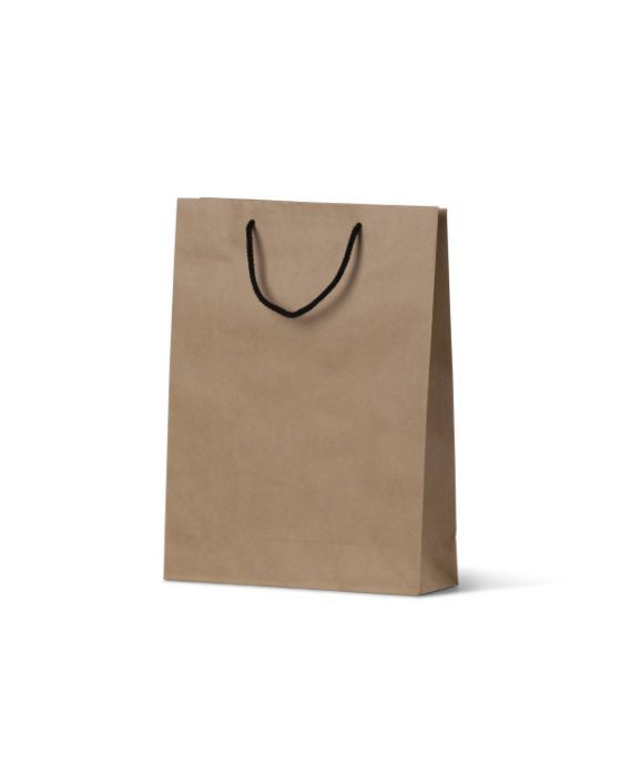 Deluxe Kraft Paper Bag Small 250/Carton
