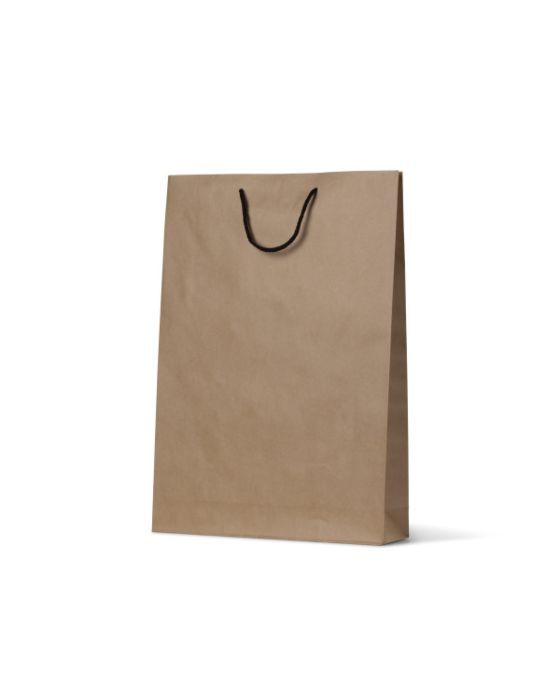 Deluxe Kraft Paper Bag Medium 250/Carton