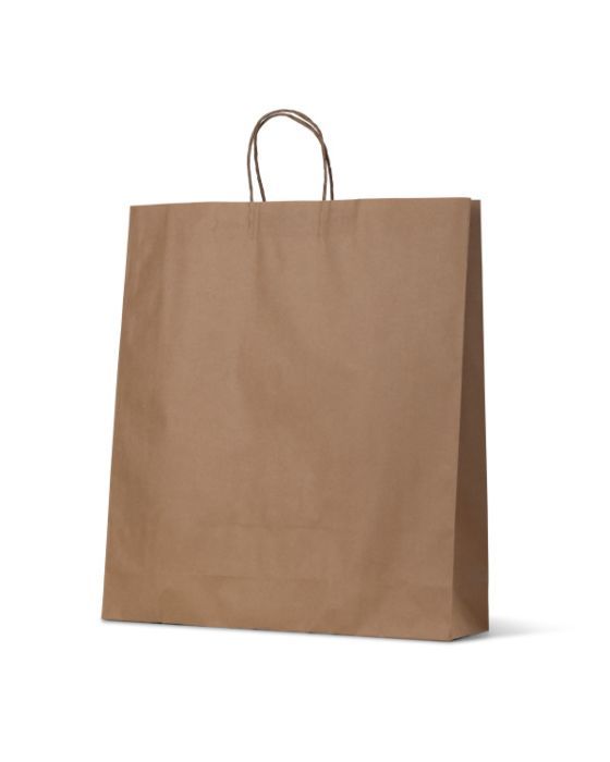 Kraft Paper Bag Large 250/Carton