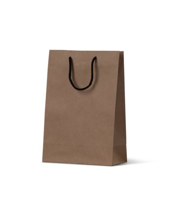 Deluxe Kraft Paper Bag Junior 250/Carton