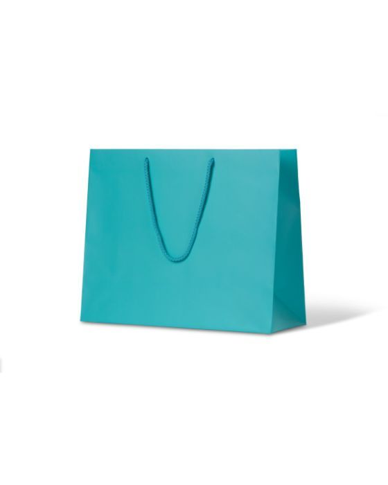 Madison Aqua Paper Bag 50/Carton