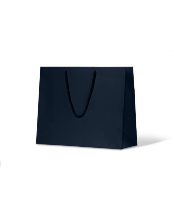 Madison Navy Paper Bag 50/Carton