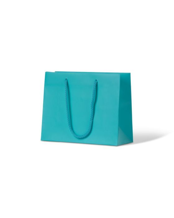 Petite Aqua Paper Bag 200/Carton