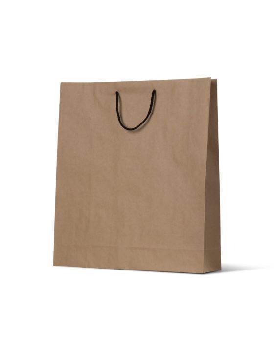 Deluxe Kraft Paper Bag Large 250/Carton