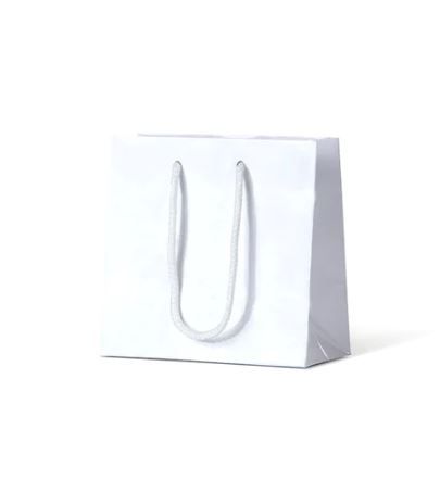 Michelle White Gloss Paper Bag 100/Carton