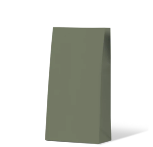 Earth Collection Earth Green Medium Gift Bag 500/Carton