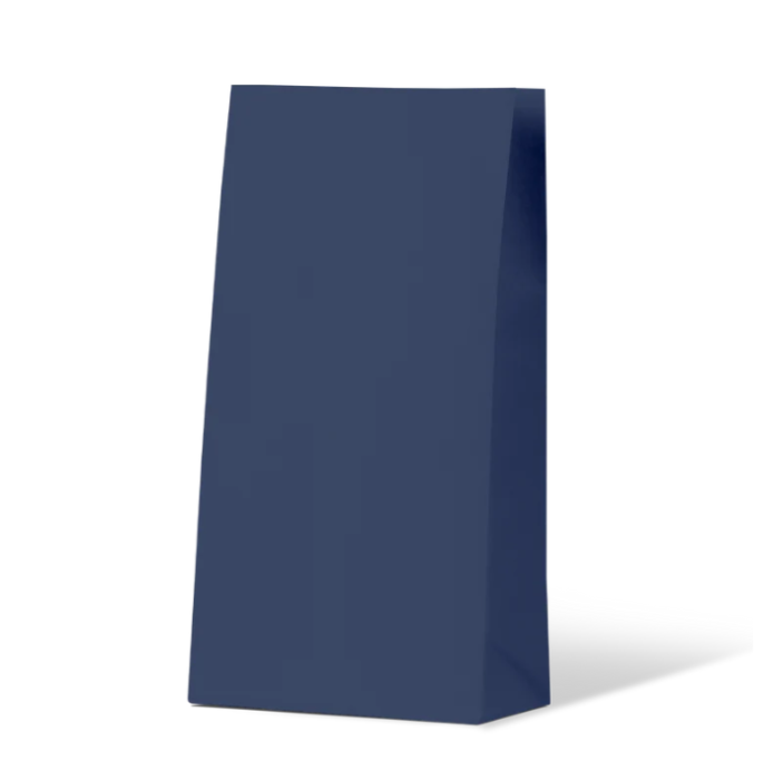 Earth Collection Navy Medium Gift Bag 500/Carton