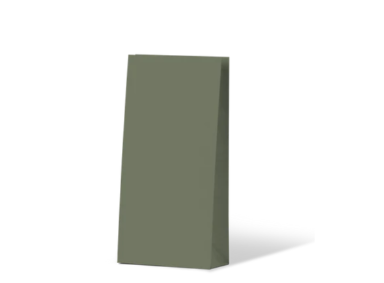 Earth Collection Earth Green Gift Bag 500/Carton