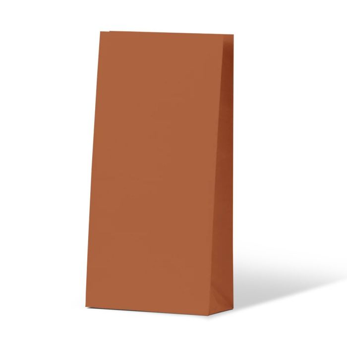 Earth Collection Burnt Orange Gift Bag 500/Carton