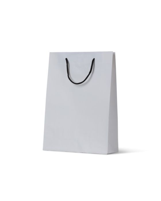  Deluxe White Kraft Bag Small 250/Carton