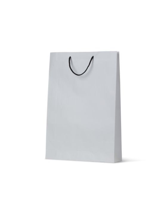  Deluxe White Kraft Bag Medium 250/Carton