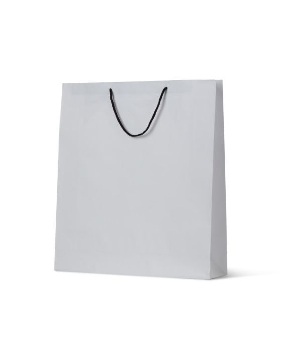 Deluxe White Kraft Bag Large 250/Carton