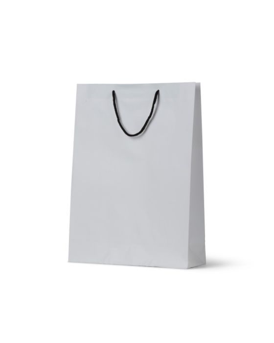 Deluxe White Kraft Bag Midi 250/Carton