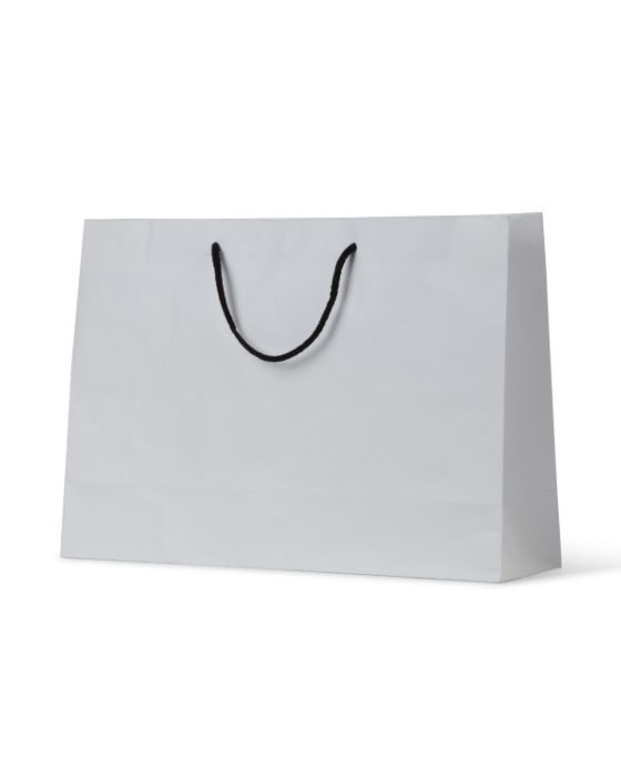 Deluxe White Kraft Bag Small Boutique 250/Carton