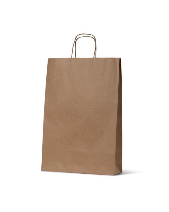 Kraft Paper Bag Medium 250/Carton