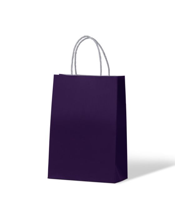 Passion Purple Junior Paper Bag 250/Carton