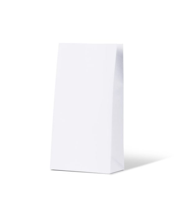 White Medium Gift Bag 500/Carton